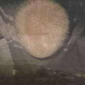 post punk / feeling with no trace