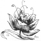 Музыка к спектаклю "Дюймовочка"