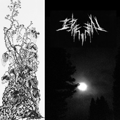 Ephemeral Landscapes II