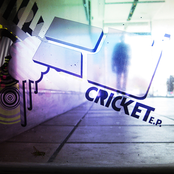 Cricket by R/d