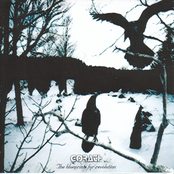 The Blueprints For Revolution