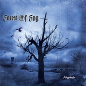 Nebelnacht by Forest Of Fog