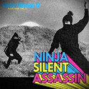 NINJA SILENT ASSASSIN