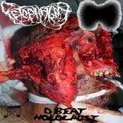 Fetophagia / NxExFx split - D Beat Holocaust