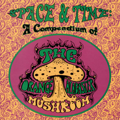 Space & Time: A Compendium of the Orange Alabaster Mushroom