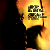 The Lost Gem Collection (A Compilation of Unreleased and Rare Tracks)