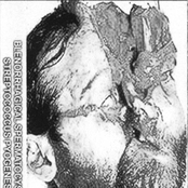 Medicine & Vomit Noise