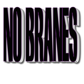 NO BRANES