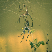 A Place Above Comfort