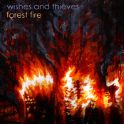 Forest Fire - Single