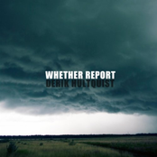 Derik Hultquist: Whether Report