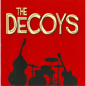 The Decoys