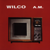 I Must Be High by Wilco