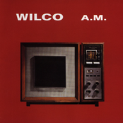 Box Full Of Letters by Wilco