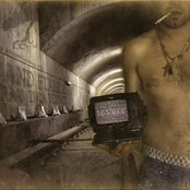 Cand Fiarele Erau Inca Departe