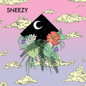 Sneezy: 440 W Cook