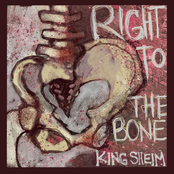 Right to the Bone