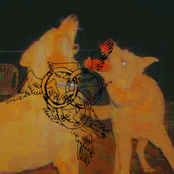 above the cabin, i can feel it…