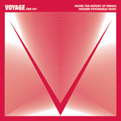 Voyage: Facing the History of French Modern Psychedelic Music