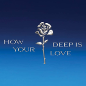 How Deep Is Your Love