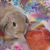 the other side of paradeis