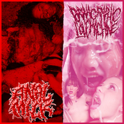 Anal Milk / Pornographic Love Machine