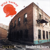 Stealer Of Years by Wild Turkey