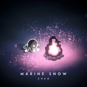 Marine Snow