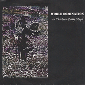 World Domination In Thirteen Easy Steps