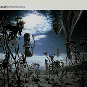 besame chilling tunes