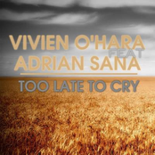 Too Late To Cry