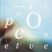 Amber Smith: Introspective