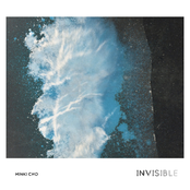 Invisible