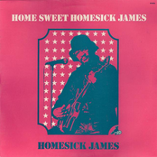 Home Sweet Homesick James