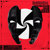 Madhouse (feat. RANI) - Single