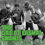 the great dismal swamis