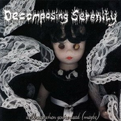 Introduce My Scalpel by Decomposing Serenity