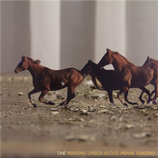 Reading Lyrics Aloud Means Singing