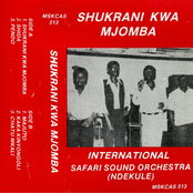 international orchestra safari sound (ndekule)