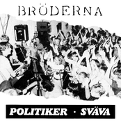 Politiker