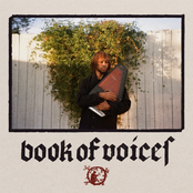 Book Of Voices