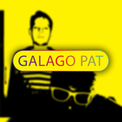 galago pat