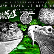 Amphibians VS Reptiles