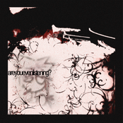 areyouevenlistening?