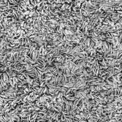 Moquette pour un Rêve à venir !