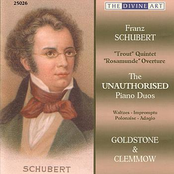 Schubert: Unauthorised Piano Duos