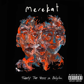 Twenty Two Years in Babylon