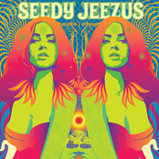 Sun In My Car by Seedy Jeezus