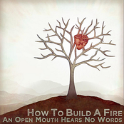 An Open Mouth Hears No Words