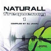 Naturall Frequency 1